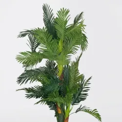 Planta 