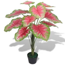 Planta