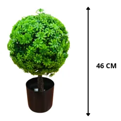 Planta