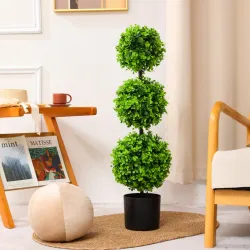 Planta