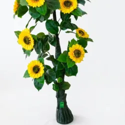 Planta