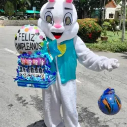 Conejo Mascota