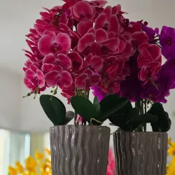 Flores de Adorno