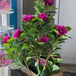 Flores de Adorno