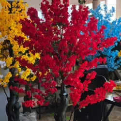 Flores de Adorno