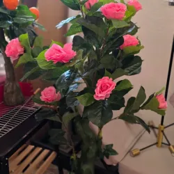 Flores de Adorno