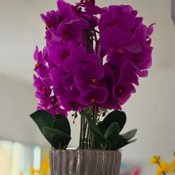 Flores de Adorno