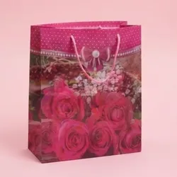 Bolsita de regalo grande