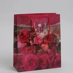 bolsita de regalo pequeña