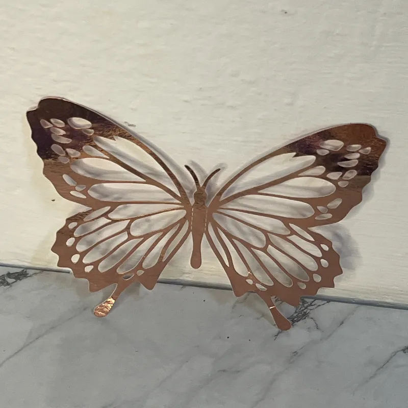 Mariposa 🩷