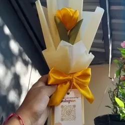 Tulipán 🌷 
