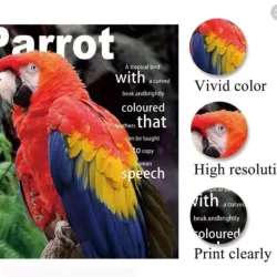 Papel fotográfico brillante 260g