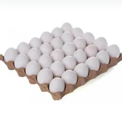 CARTON DE HUEVOS ( 30 unid )