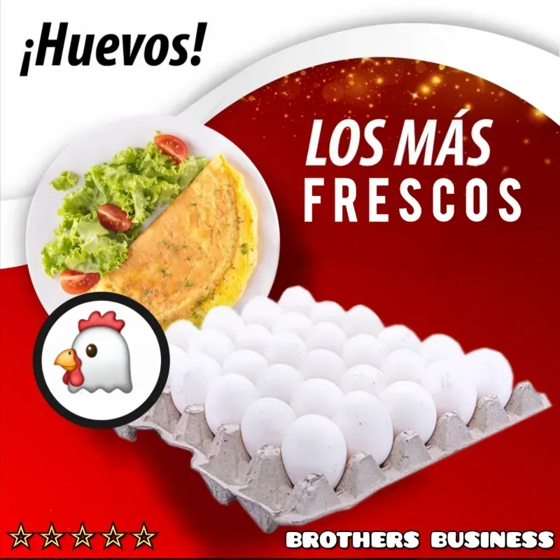 Cartón HUEVOS