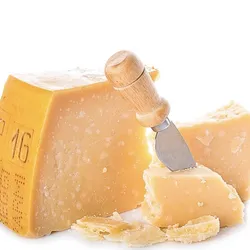 Empanada de queso parmesano 