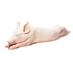 Cerdo entero