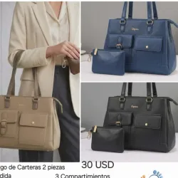 Carteras grandes de 2 piezas