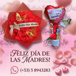 Oferta 5