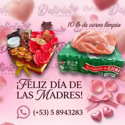 Oferta 8