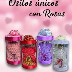 Ositos con Rosas