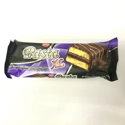 Panque cubierto y relleno de chocolate 