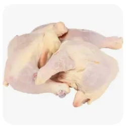 Pollo 10Lb