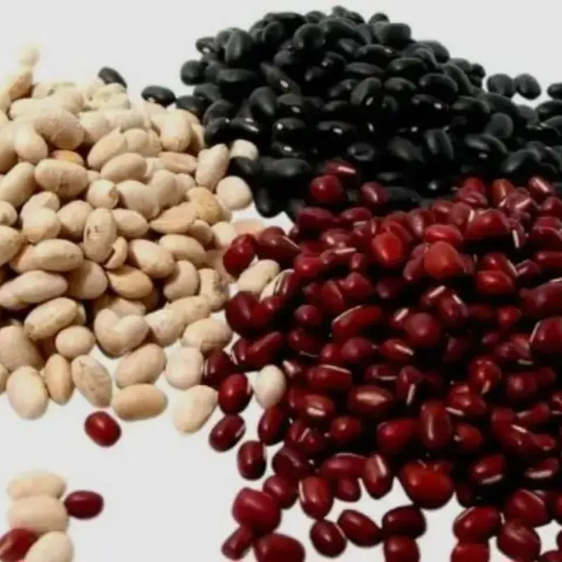 Frijoles