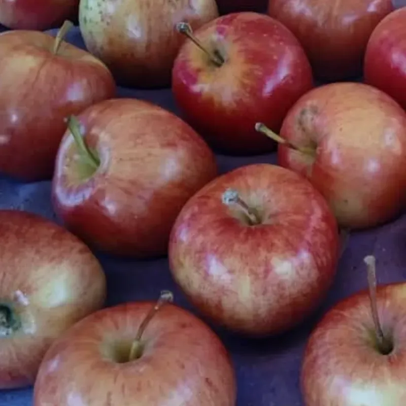 Manzanas 