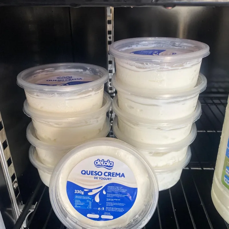 Queso de Crema de Yogurt (330 gramos)