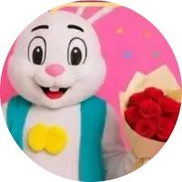 DENLIS COMBOS SORPRESA