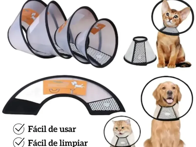 Collares Isabelinos (Protectores)