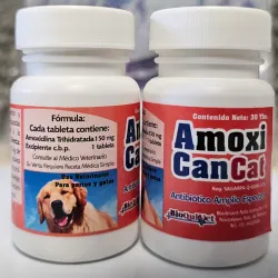 AMOXICANCAT (Antibiótico de amplio espectro)