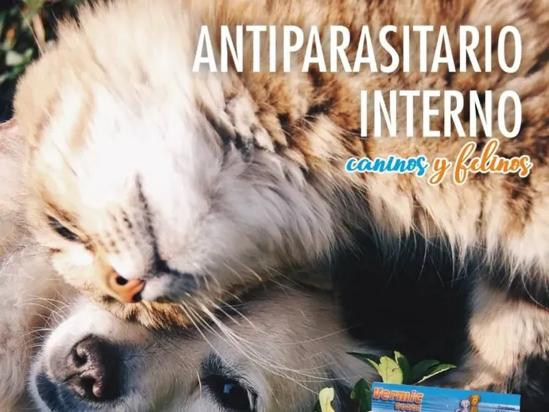 Antiparasitarios Internos