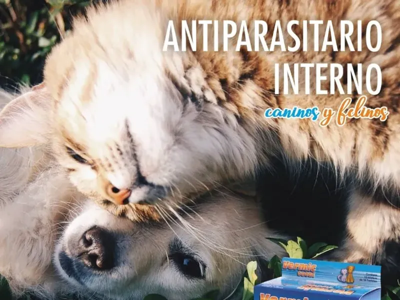 Antiparasitarios Internos