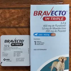 BRAVECTO 1M TRIPLE 3.2 g (20 a 40 KG)