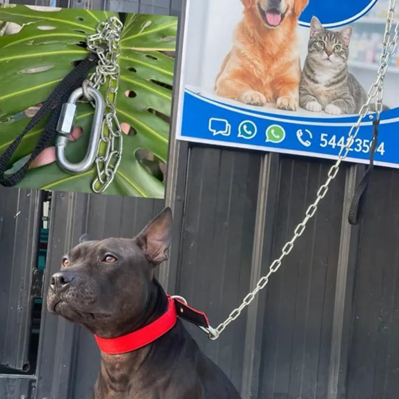 CADENA DE ACERO INOXIDABLE PARA PERROS MEDIANOS Y GRANDES