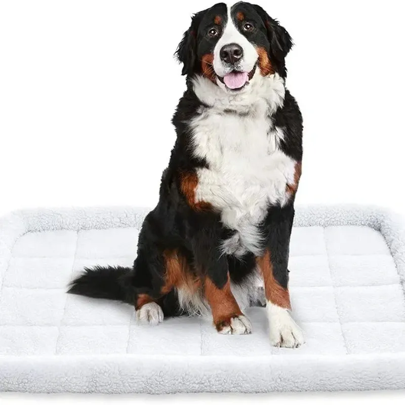 CAMA PARA PERROS XL 41" X 26" (104.1 x 66.1 cm)