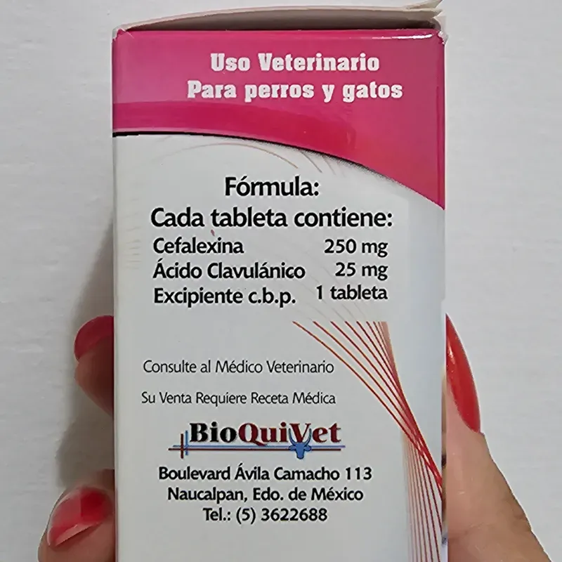 CEFALEXINA  Y ÁCIDO CLAVULÁNICO (CEFACAN)