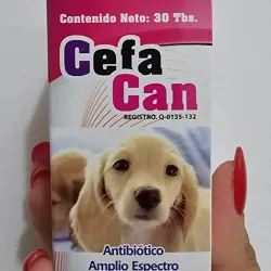 CEFALEXINA  Y ÁCIDO CLAVULÁNICO (CEFACAN)