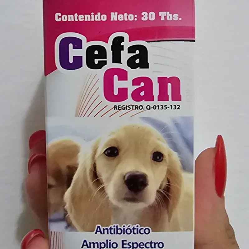 CEFALEXINA  Y ÁCIDO CLAVULÁNICO (CEFACAN)