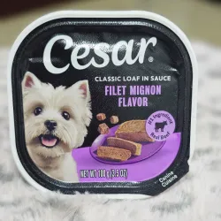 CESAR IN SAUCE FILET MIGNON 100 g (Paté con salsa, carne de Res Real)