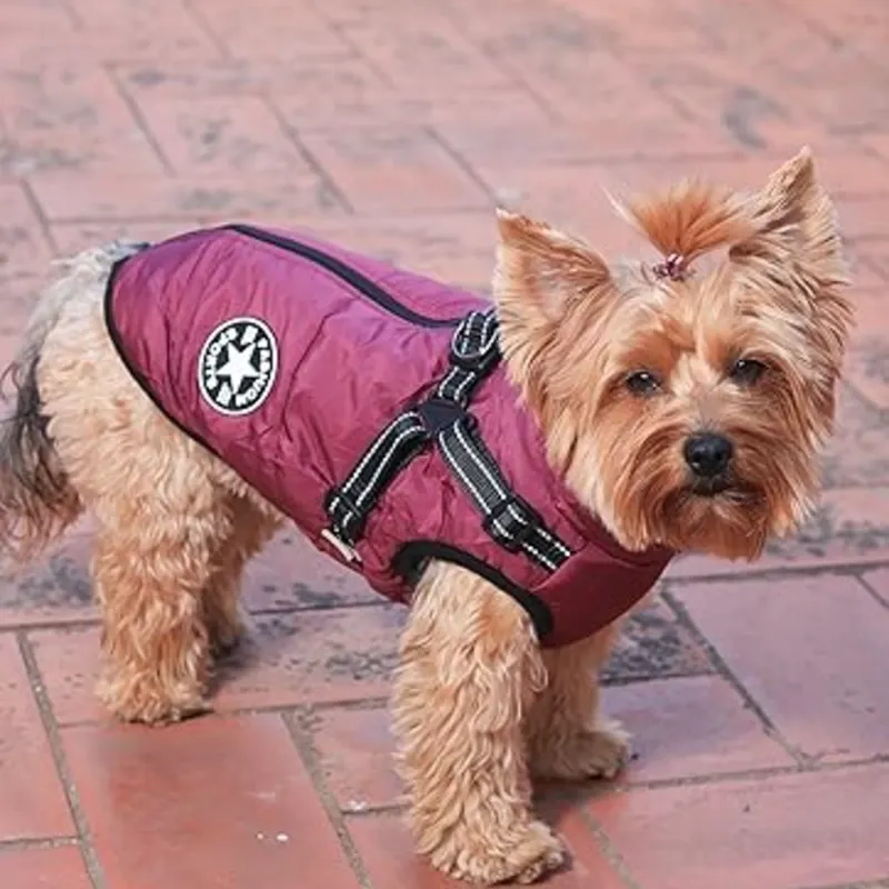 CHAQUETA DE INVIERNO TALLA S (Rojo Vino)