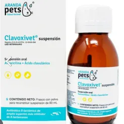 CLAVOXIVET SUSPENSIÓN 60 ML (Amoxicilina)