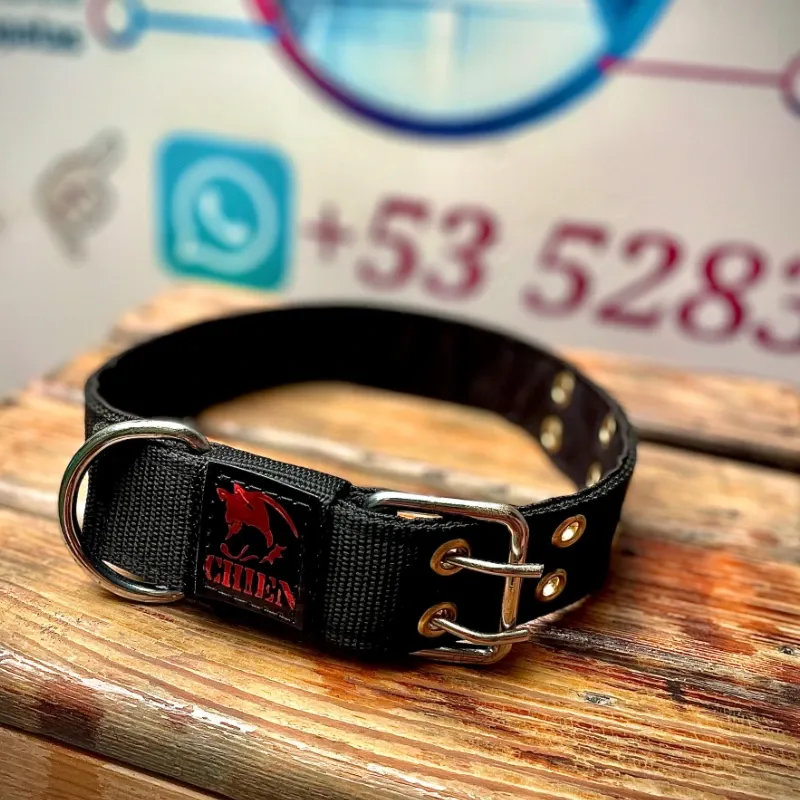 COLLAR DE PASEO 3.8 REFORZADO