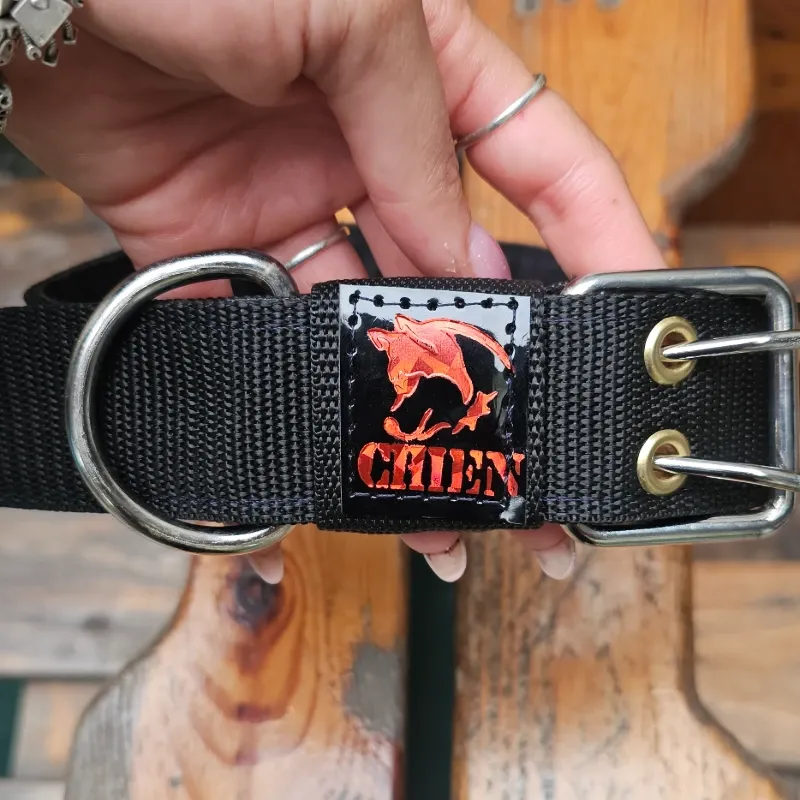 COLLAR DE PASEO 3.8 REFORZADO