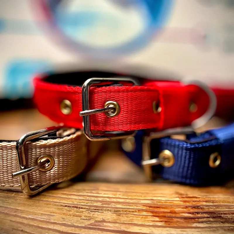 COLLAR DE PASEO REFORZADO PARA PERROS GRANDES Y FUERTES