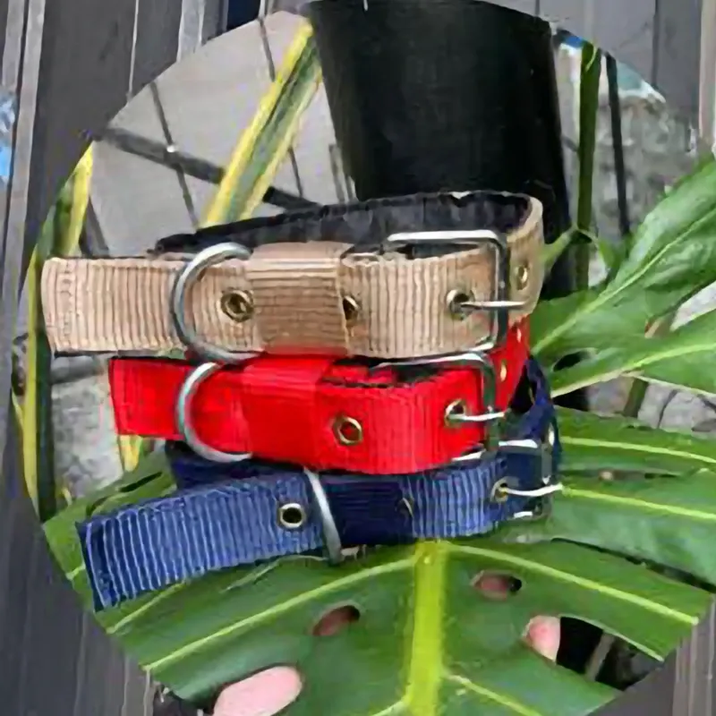 COLLAR DE PASEO REFORZADO PARA PERROS GRANDES Y FUERTES