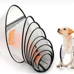 COLLAR ISABELINO TALLA 3