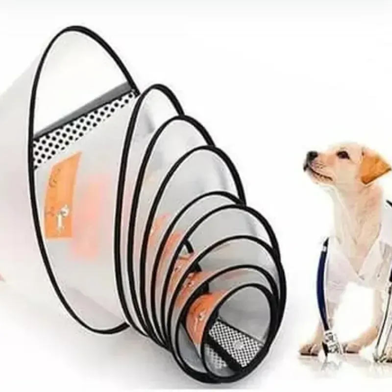 COLLAR ISABELINO TALLA 3