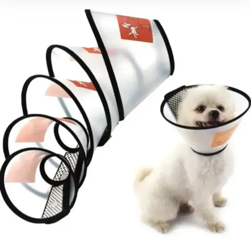 COLLAR ISABELINO TALLA 4